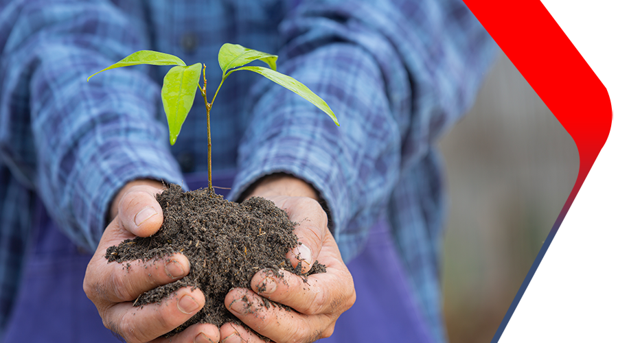 Drive Innovation with BHARAT IMPACT